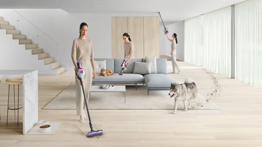 Dyson V8 Absolute — vue détaillée